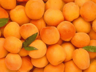 春华秋实，美式轻奢的家居艺术-1