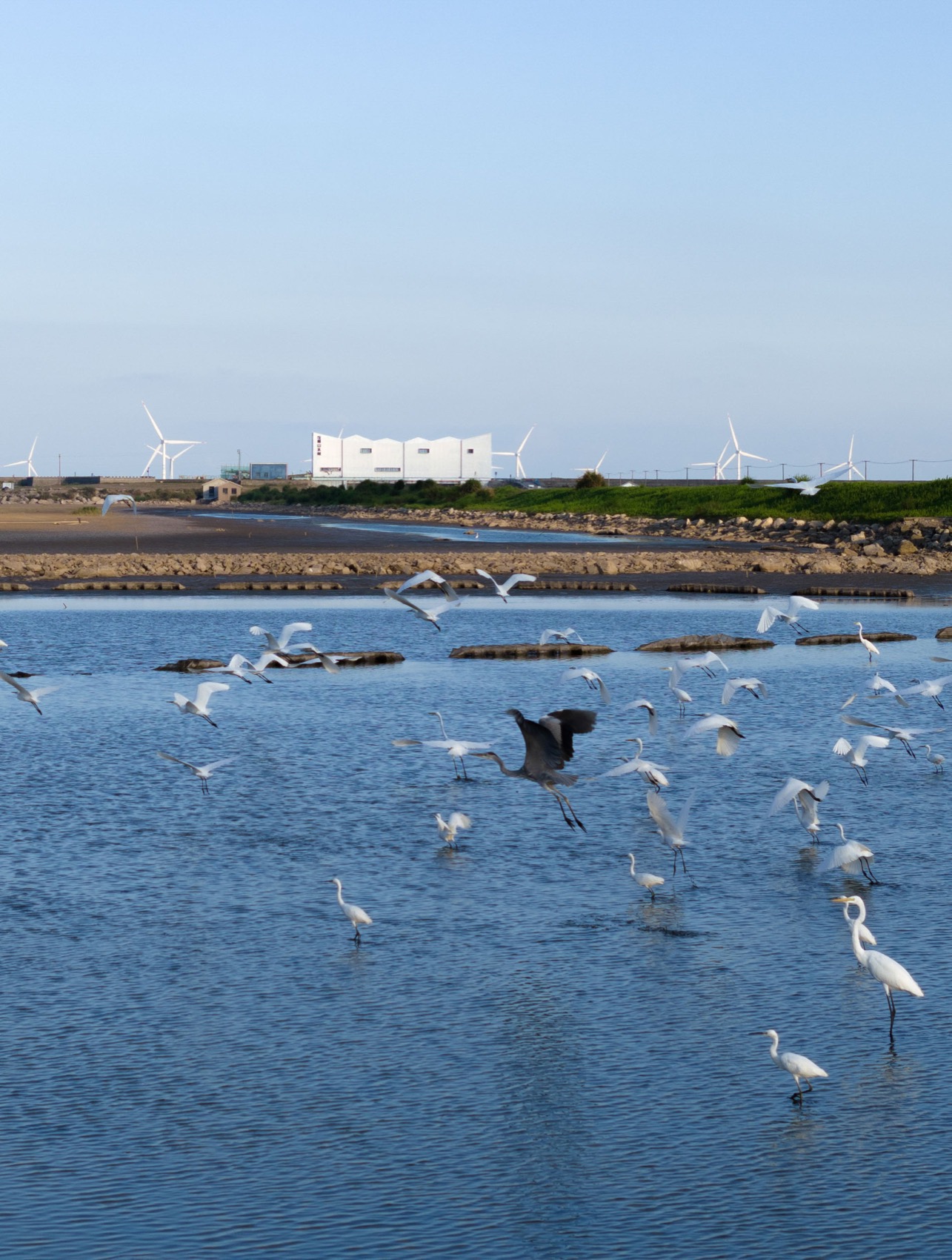 “山海之界” 象山饭桶营地山水闸改造丨中国宁波丨MARS星球建筑-17