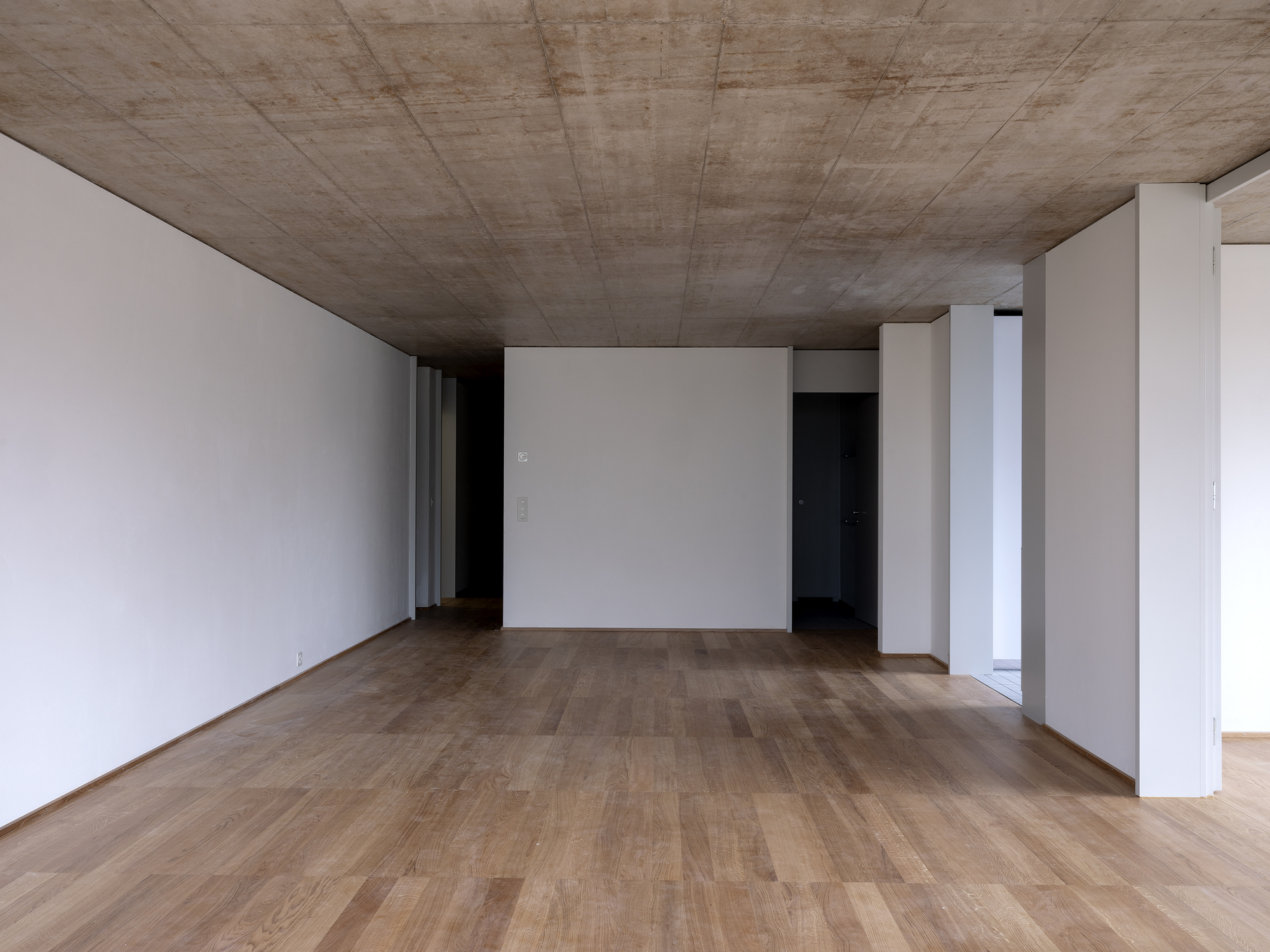 Therwil 联排别墅丨瑞士丨Lütiens Padmanabhan Architekten-25