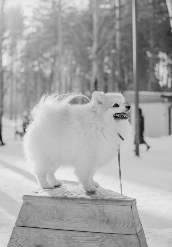 Парк Прибрежный（滨河公园）丨俄罗斯-74