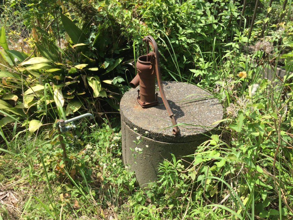 茅ヶ崎常盤町の住宅 01丨LEVEL Architects-21