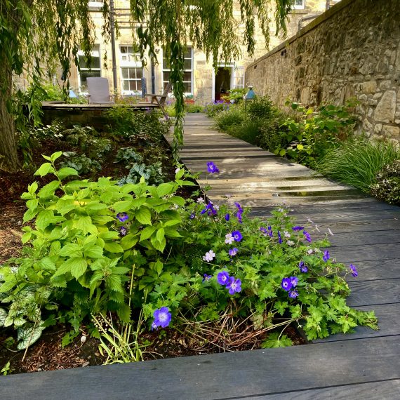 新城围墙花园丨英国爱丁堡-42