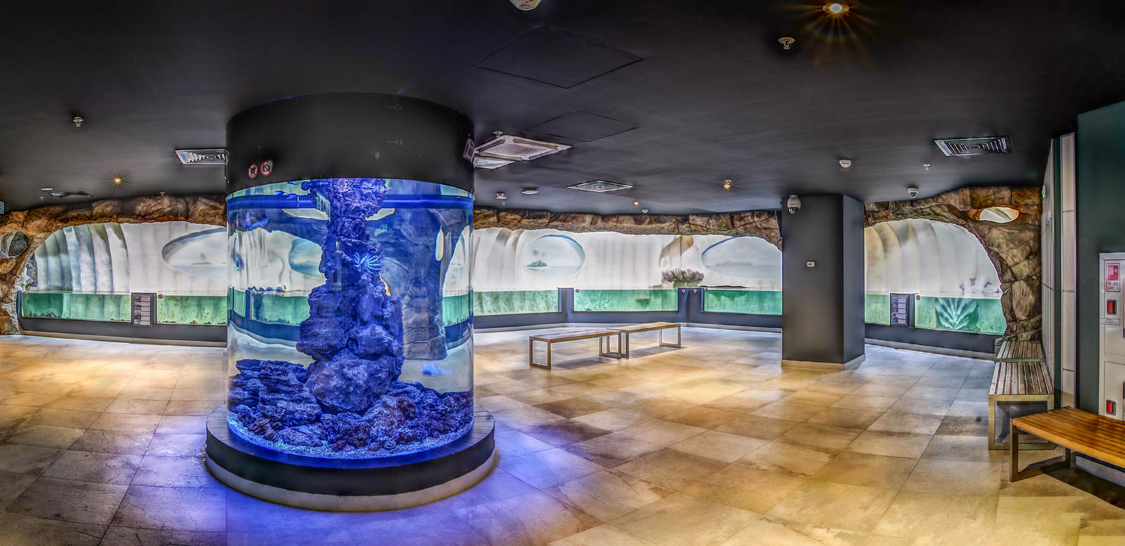 “Литораль”（“海岸带”）水族箱水陆箱丨俄罗斯丨Аква Лого Инжиниринг-7