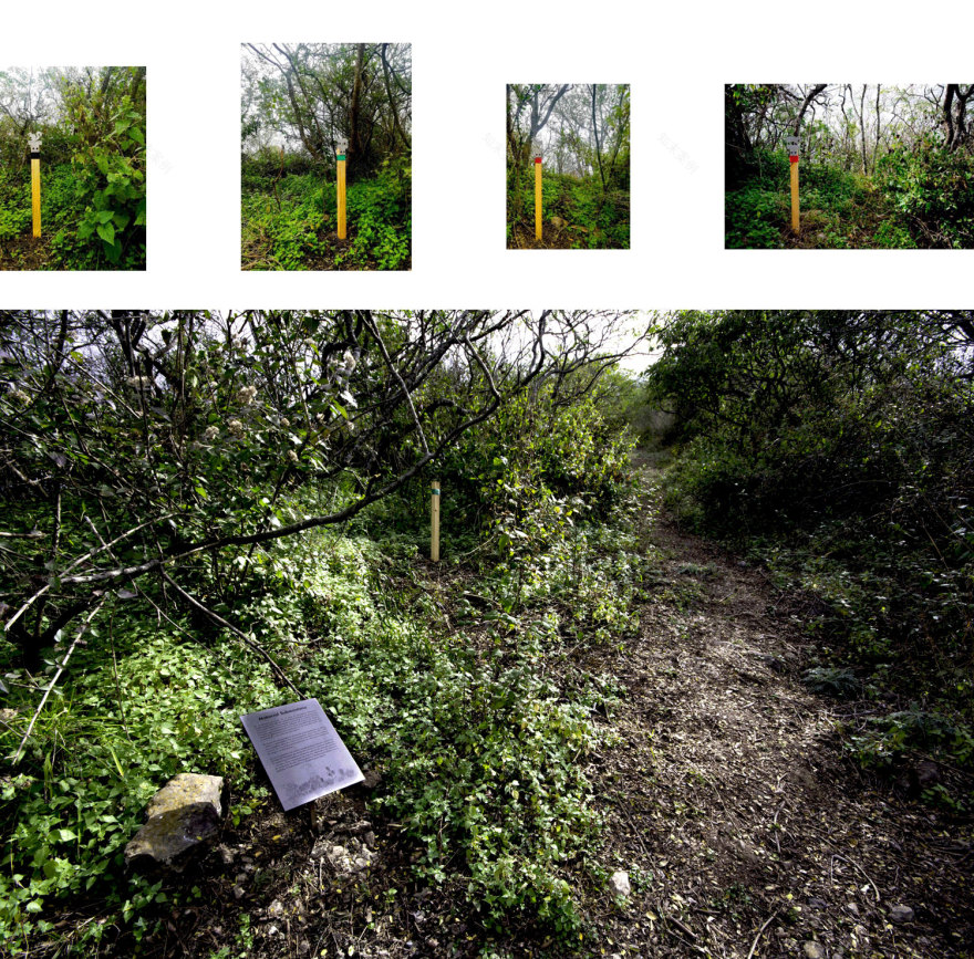 共生荒原 · 揭示人与自然和谐共生的景观建构-19