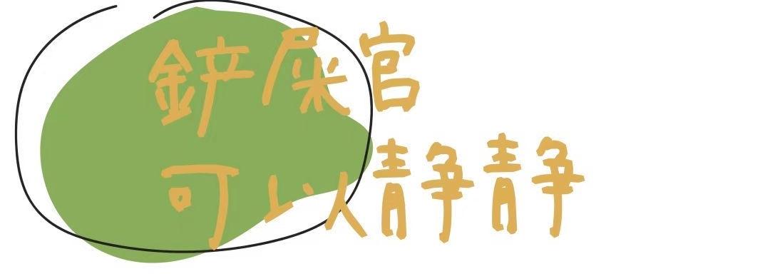 63㎡老房爆改流浪猫之家丨中国厦门丨理居设计-57