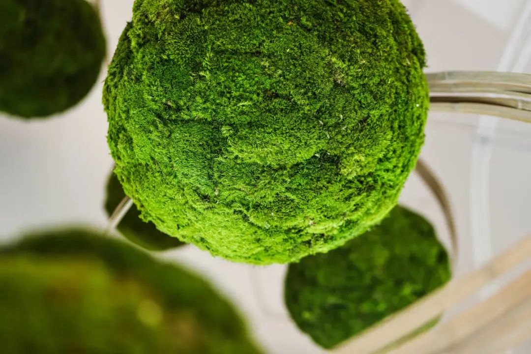 仲恺星河·梧桐湾邻里中心丨中国惠州丨深圳市佳明酒店配饰有限公司-40