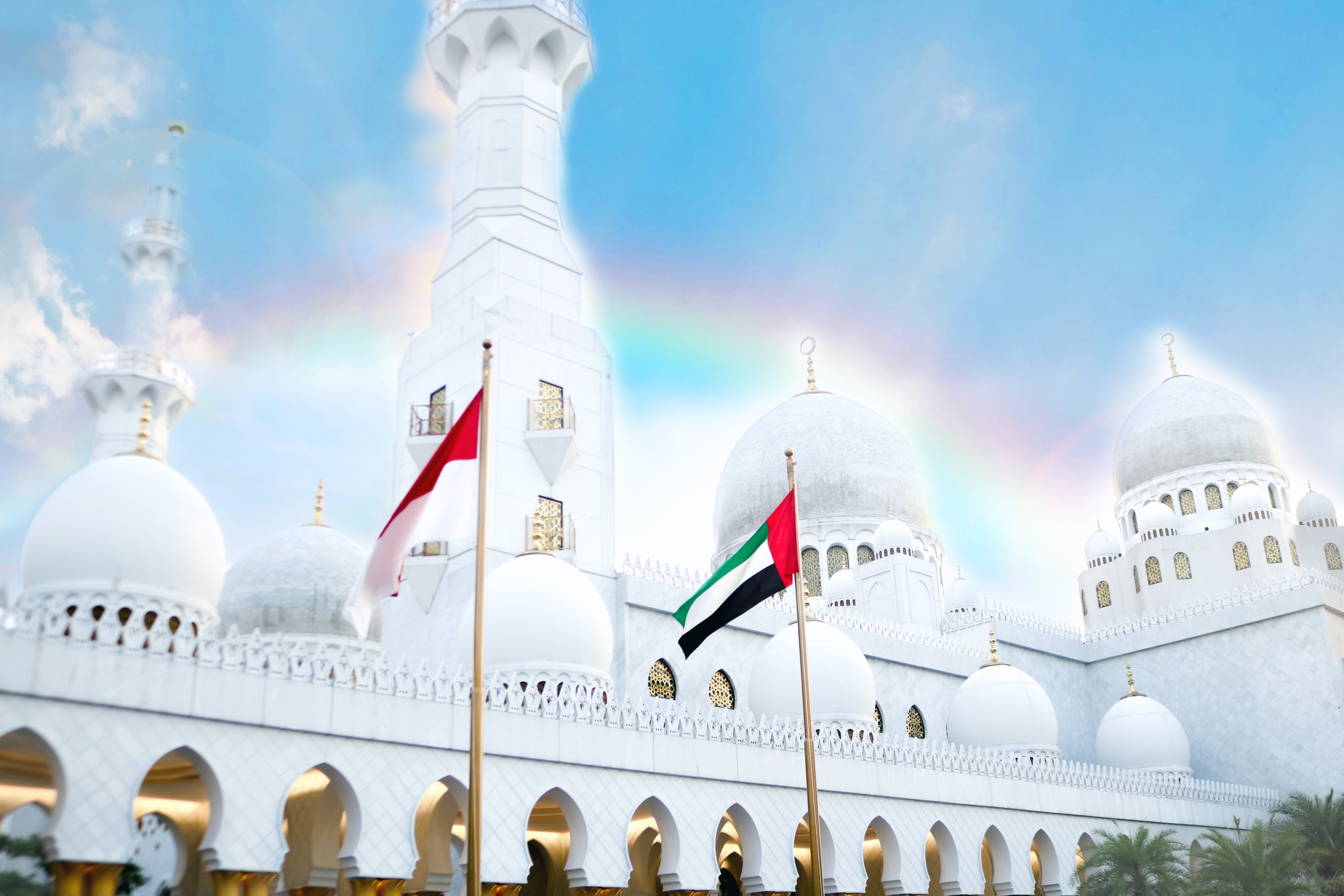 丨无相关信息-4