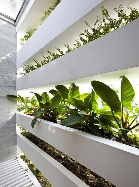 Stacking Green house covered in plants by Vo Trong Nghia - Dezeen-12