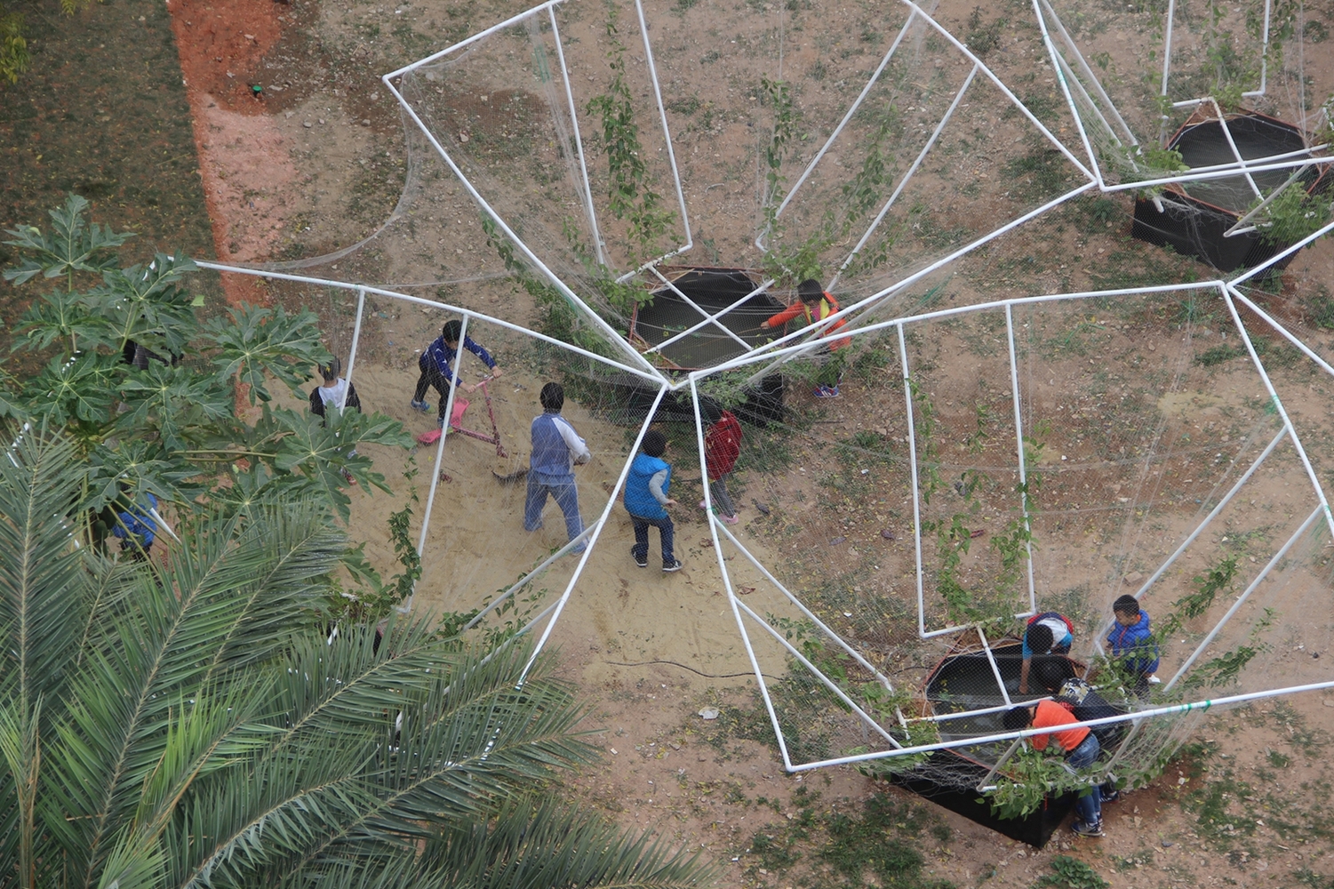 深圳天际农场 · 农民智慧融入城市更新-36