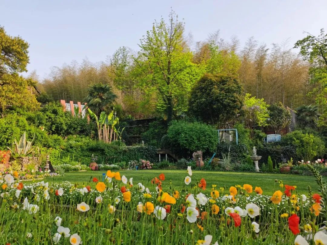 三棵树庄园 | 摄影家的心灵秘境-53