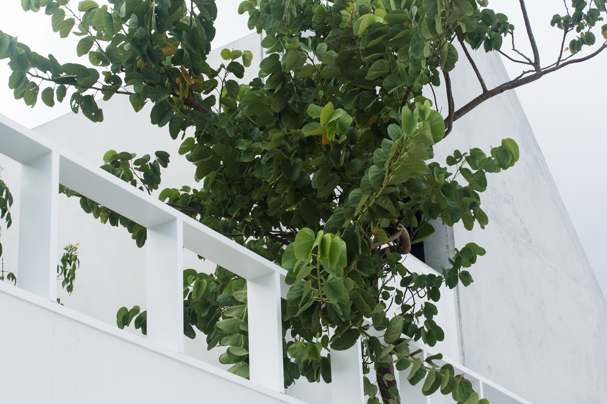 House B / Whispering Smith-34