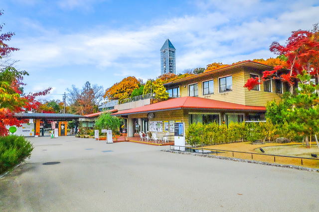 名古屋市东山动植物园之植物园丨日本爱知-52