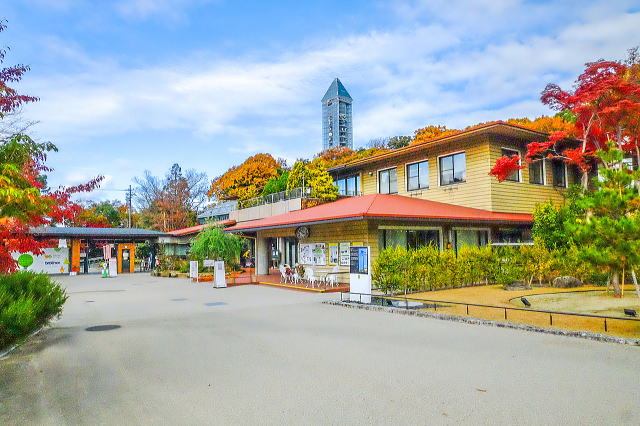 名古屋市东山动植物园之植物园丨日本爱知-52