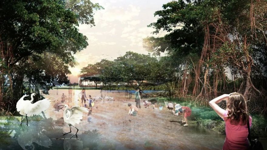 深圳红树林湿地博物馆丨中国深圳丨URBANUS都市实践+中国城市建设研究院无界景观工作室-51