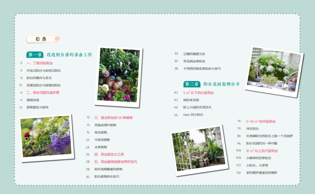 阳台花园改造记丨中国杭州丨哓气婆-43