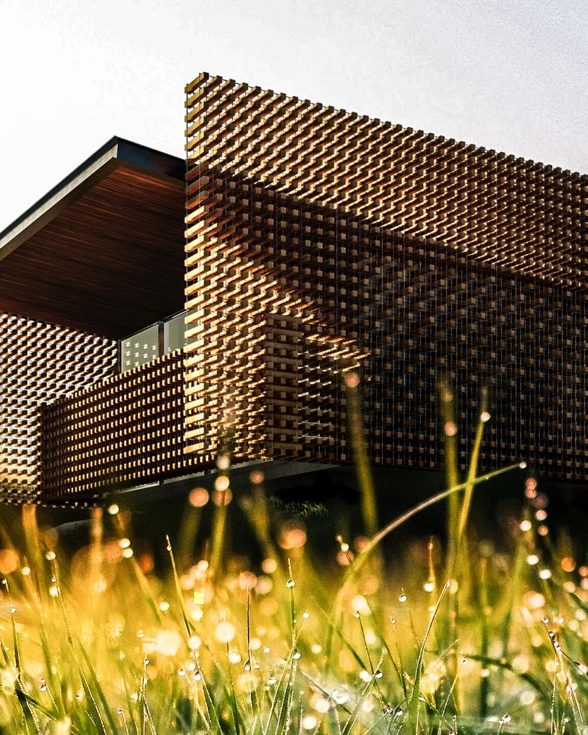 巴西 Aerada House丨巴西圣保罗丨Tetro Arquitetura e Engenharia-16