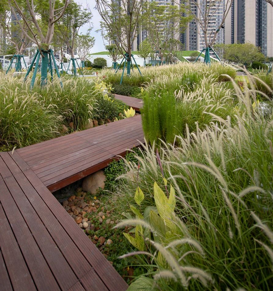 美的置业顺德展厅公园景观设计丨中国佛山丨广东天元建筑设计有限公司（睿住天元）-41