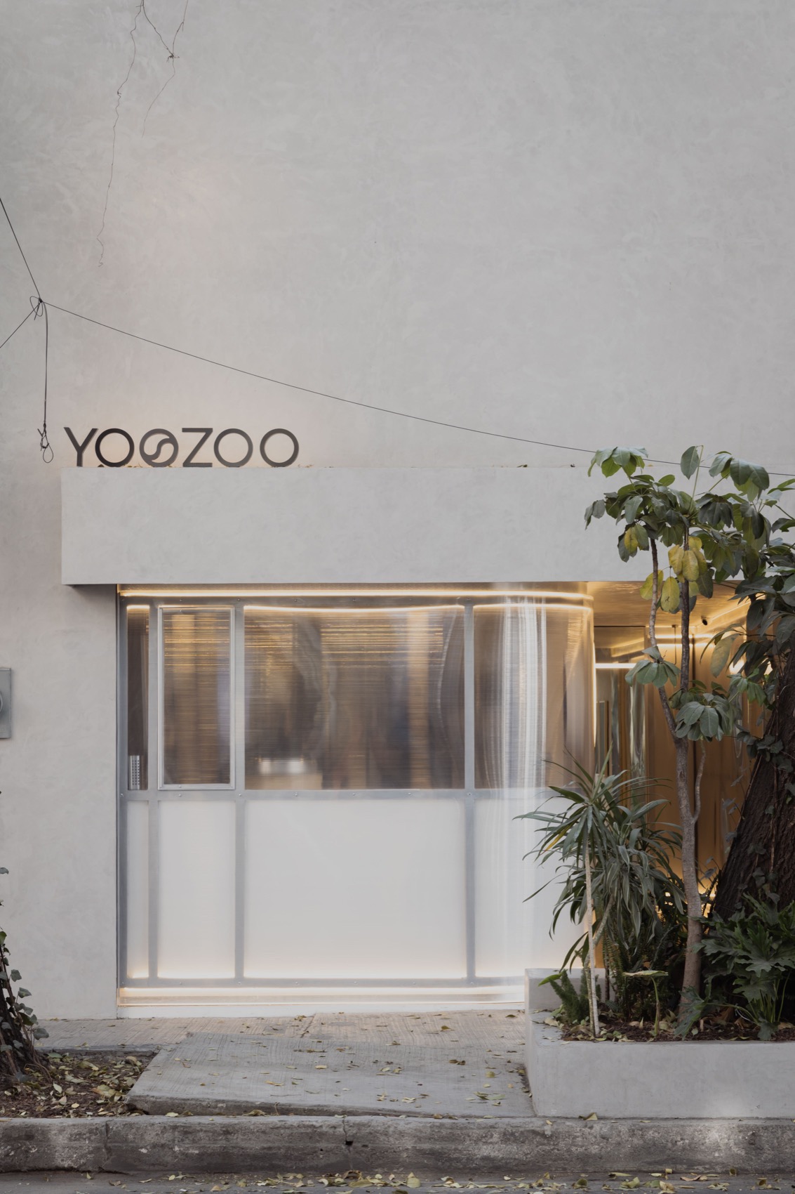 Yoozoo San Luis奶茶店丨墨西哥墨西哥城-3