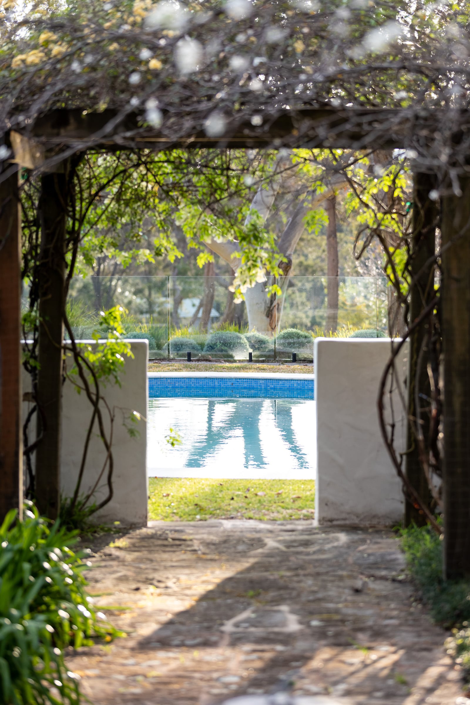 Luxury Landscape Design Sydney Custom Homes Sydney-12