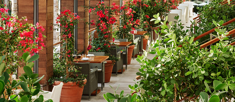 迈阿密海滩艾迪逊酒店丨美国丨EDSA-13