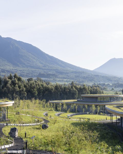 The Ellen DeGeneres Campus of the Dian Fossey Gorilla Fund Signals New Future for Gorilla Conservation, Education, Research, and Tourism in Rwanda | MASS Design Group-5
