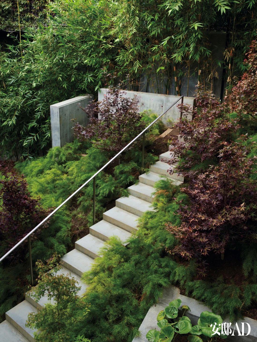 安藤忠雄为洛伦佐・哈达尔设计的西好莱坞住宅丨美国洛杉矶丨安藤忠雄项目团队（建筑师Alex Iida等）-16