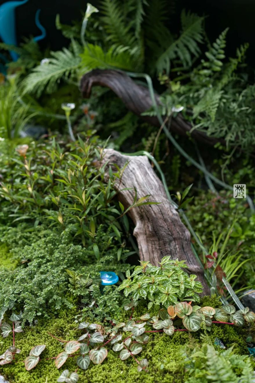 麓湖 B2 黑鉐样板岛丨中国成都丨乐道景观-102