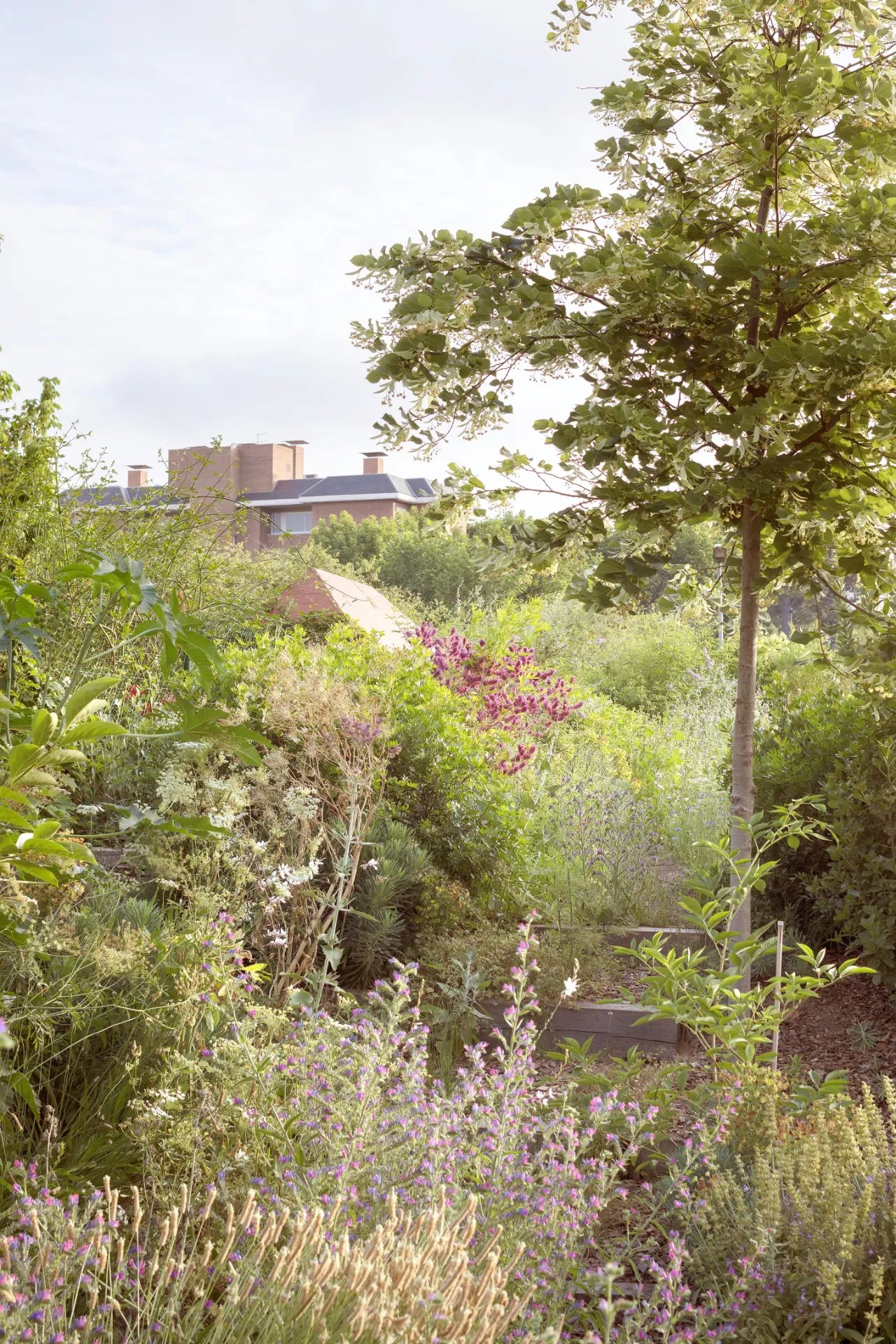 隐匿私宅,精神的乌托邦丨西班牙巴塞罗那丨SOG design-21