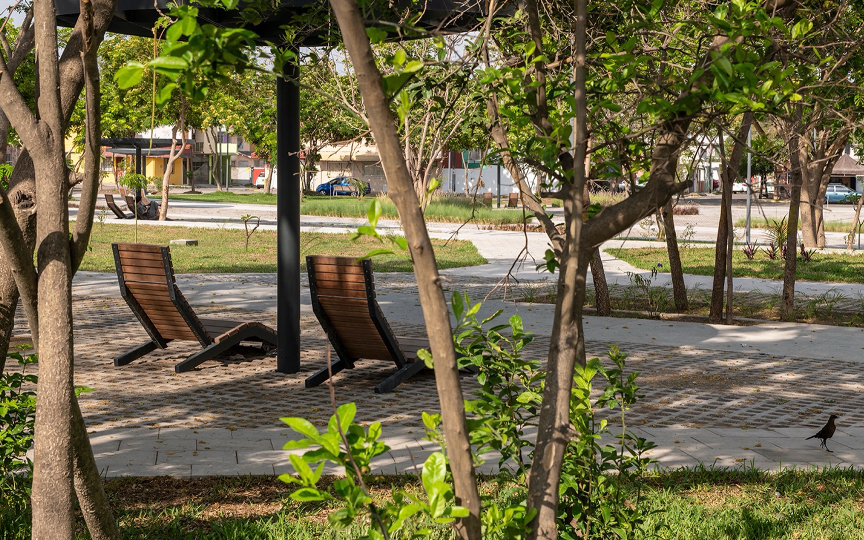 Apulco公园丨墨西哥韦拉克鲁斯丨Taller Multidisciplinar-33