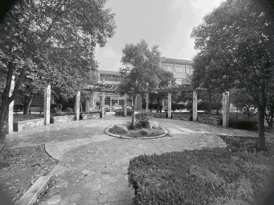 滕州北辛路道路绿化提升工程丨中国山东丨同圆设计集团股份有限公司-45