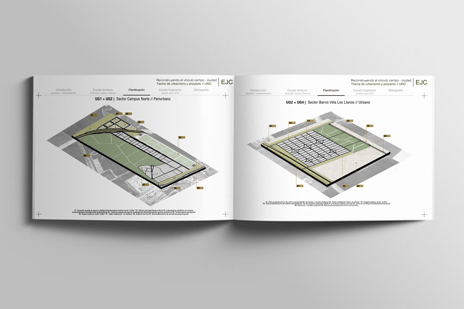 Tesis de grado 2025-3