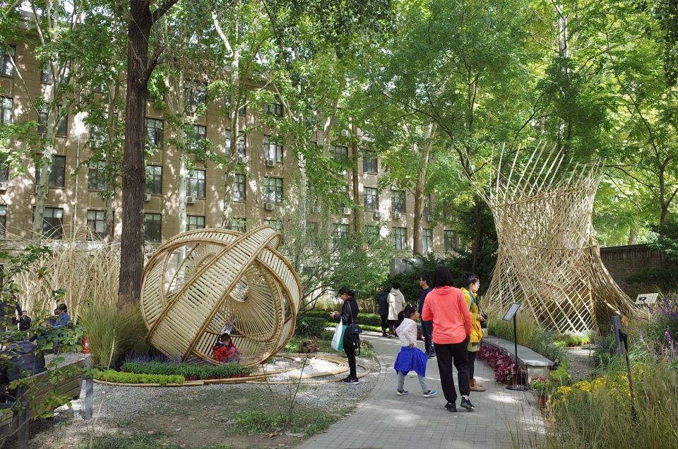 北林国际花园建造节获奖作品 | “黑洞”与“樊笼”-3