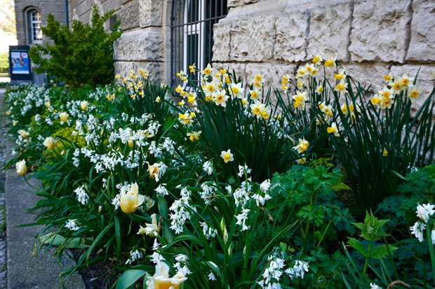 不伦瑞克市立博物馆丨Büro Christian Meyer-3