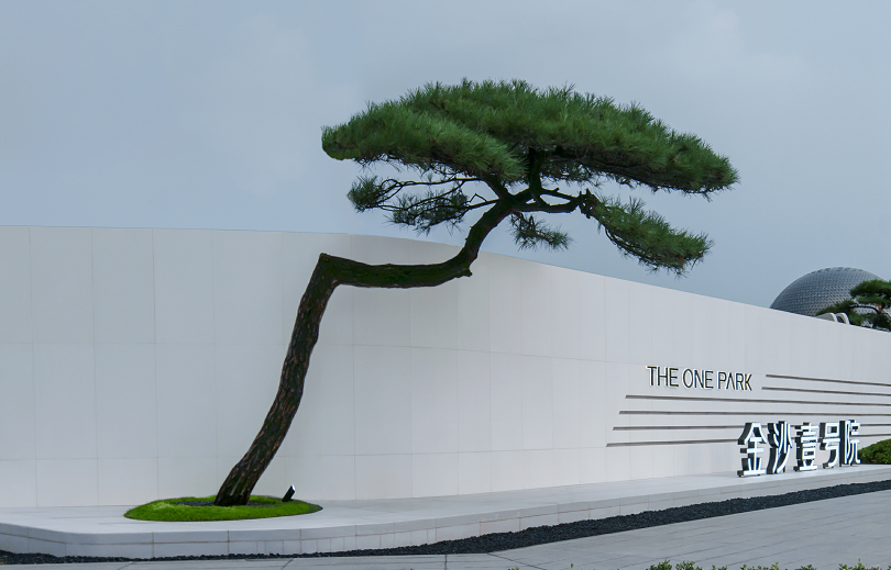 金沙操盘 | 成功经验：从河南火到全国各地（实地考察+主题演讲）-165