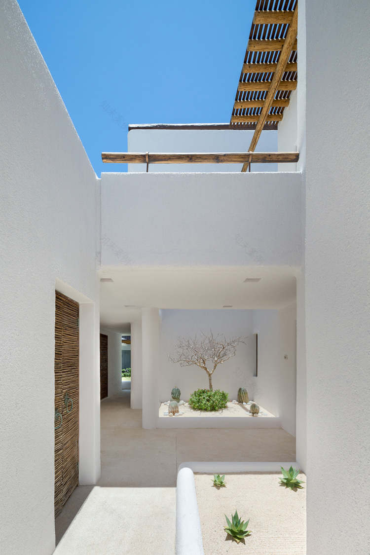 墨西哥洛斯卡沃斯海滨度假酒店——融入沙漠环境的现代建筑-23