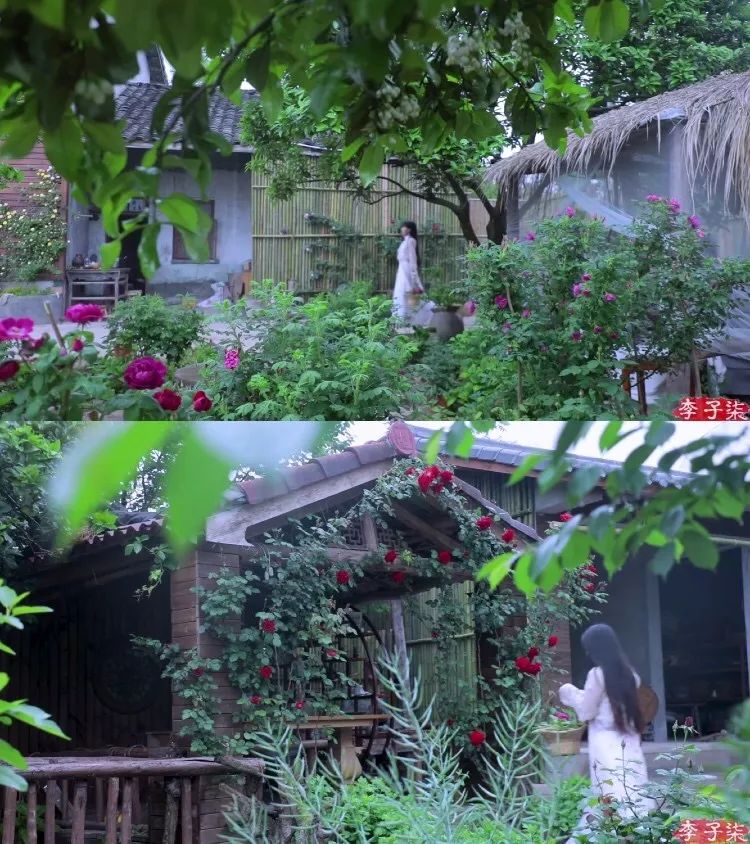 李子柒家居搭配揭秘 | 世外桃源的创意设计-15