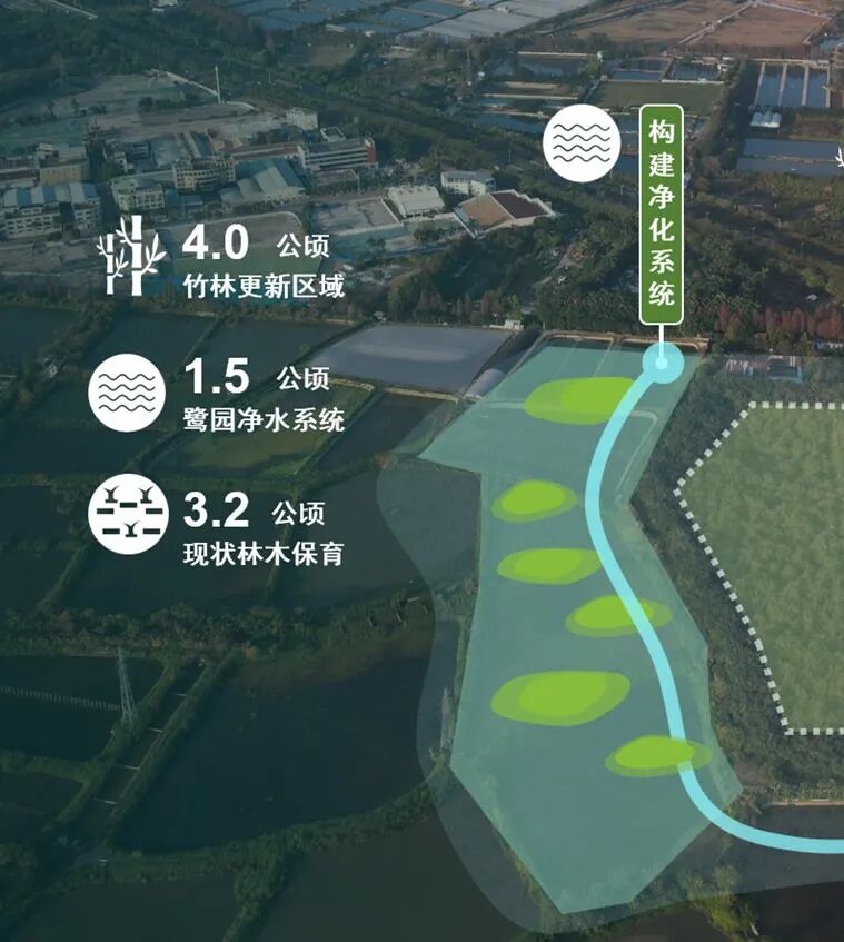 顺德鹭鸟湿地片区景观规划丨中国佛山丨AECOM-15