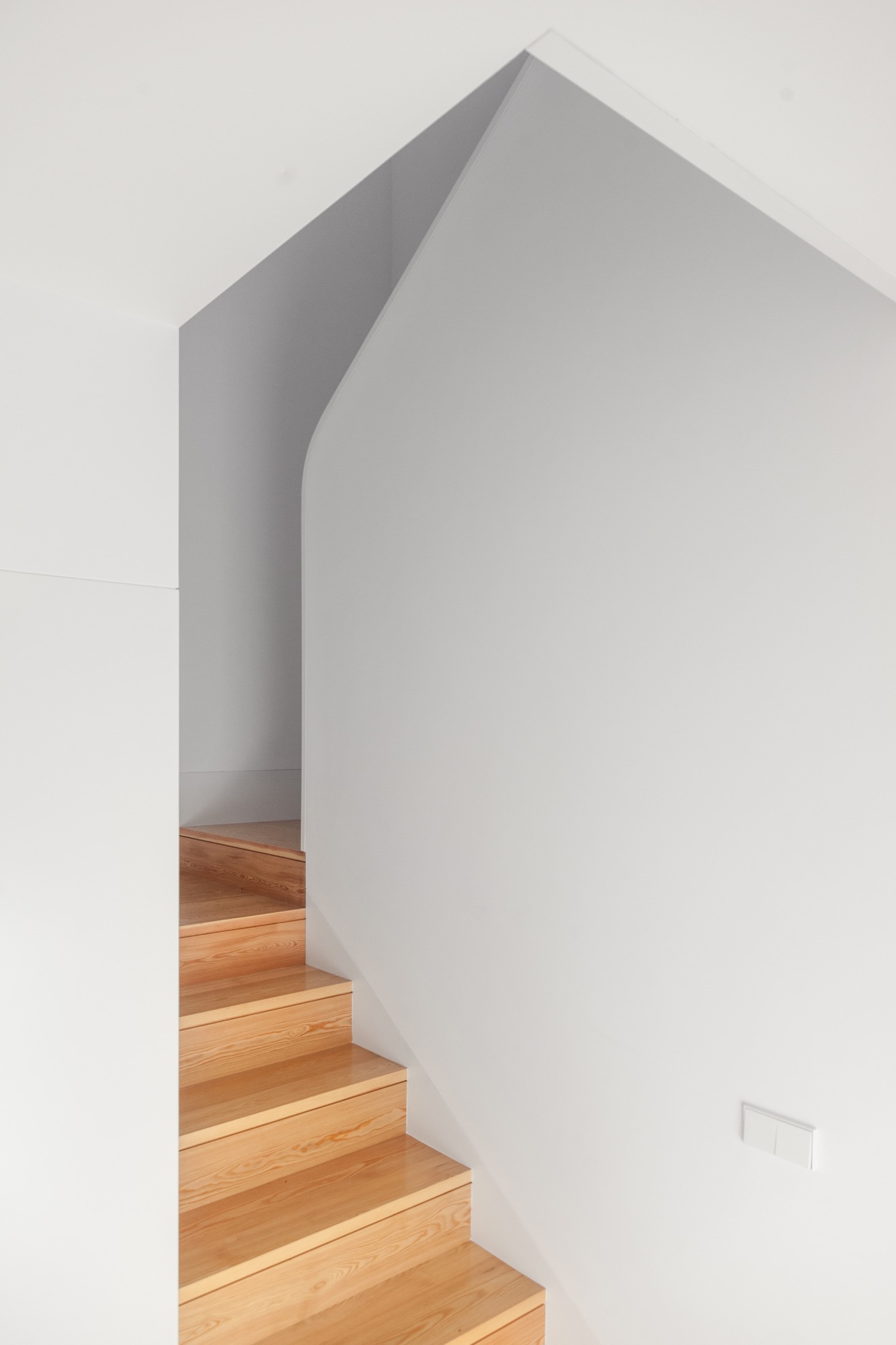 融入地形的葡萄牙私人住宅-44