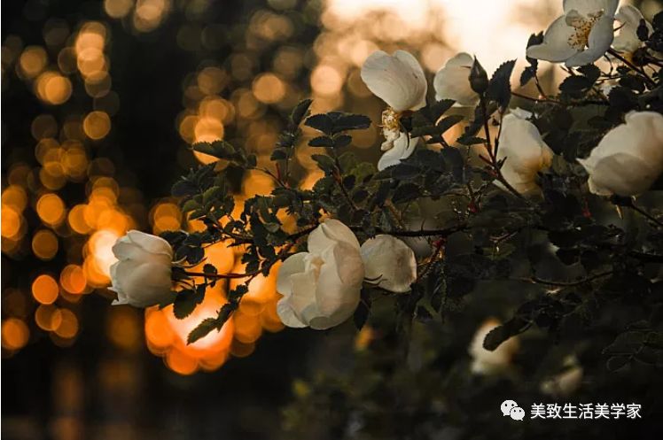 浙江临安 C2 户型样板房 | 写意现代风格,精致生活美学家!-38