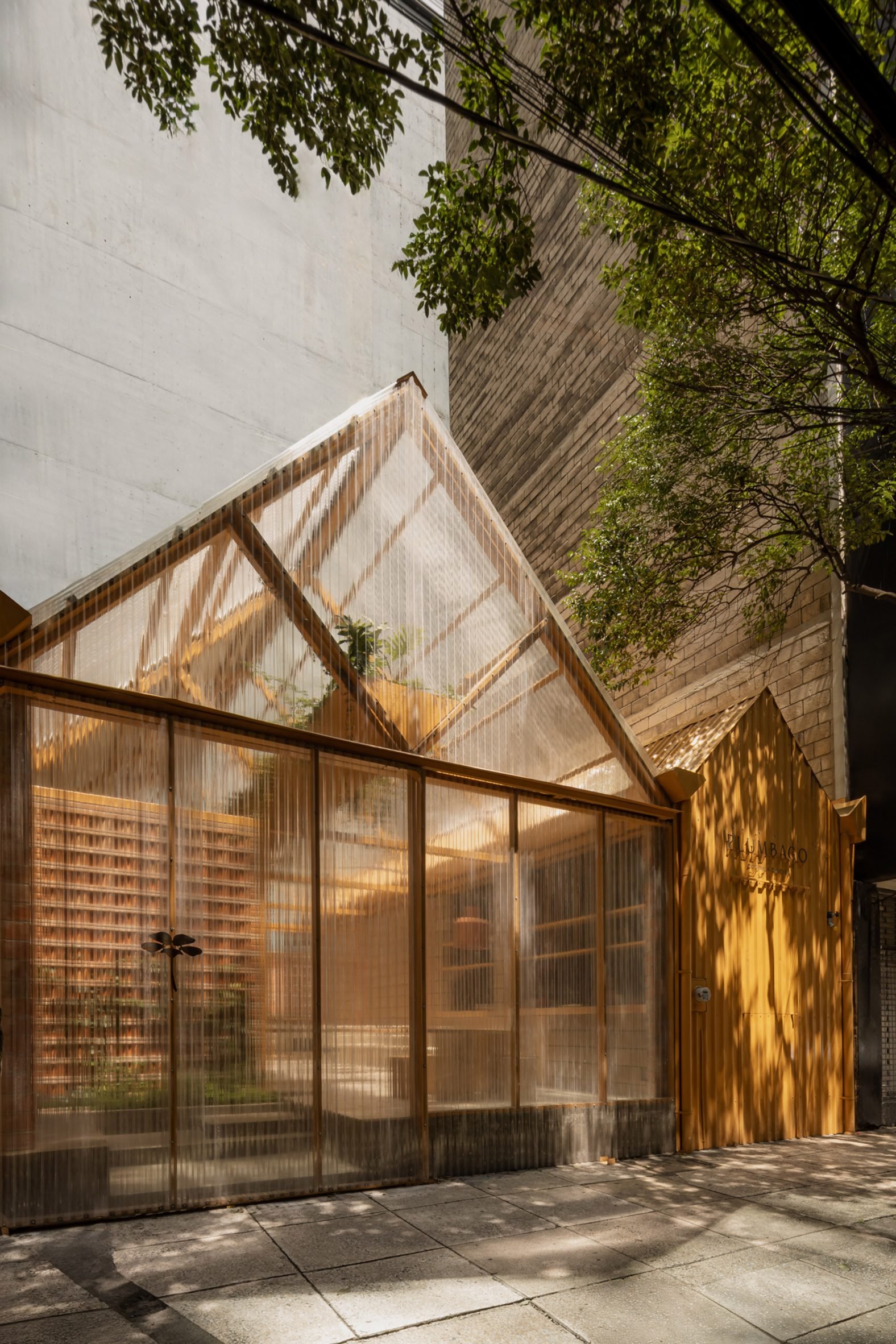 Plumbago餐厅丨墨西哥墨西哥城丨当地工作室OPA-3