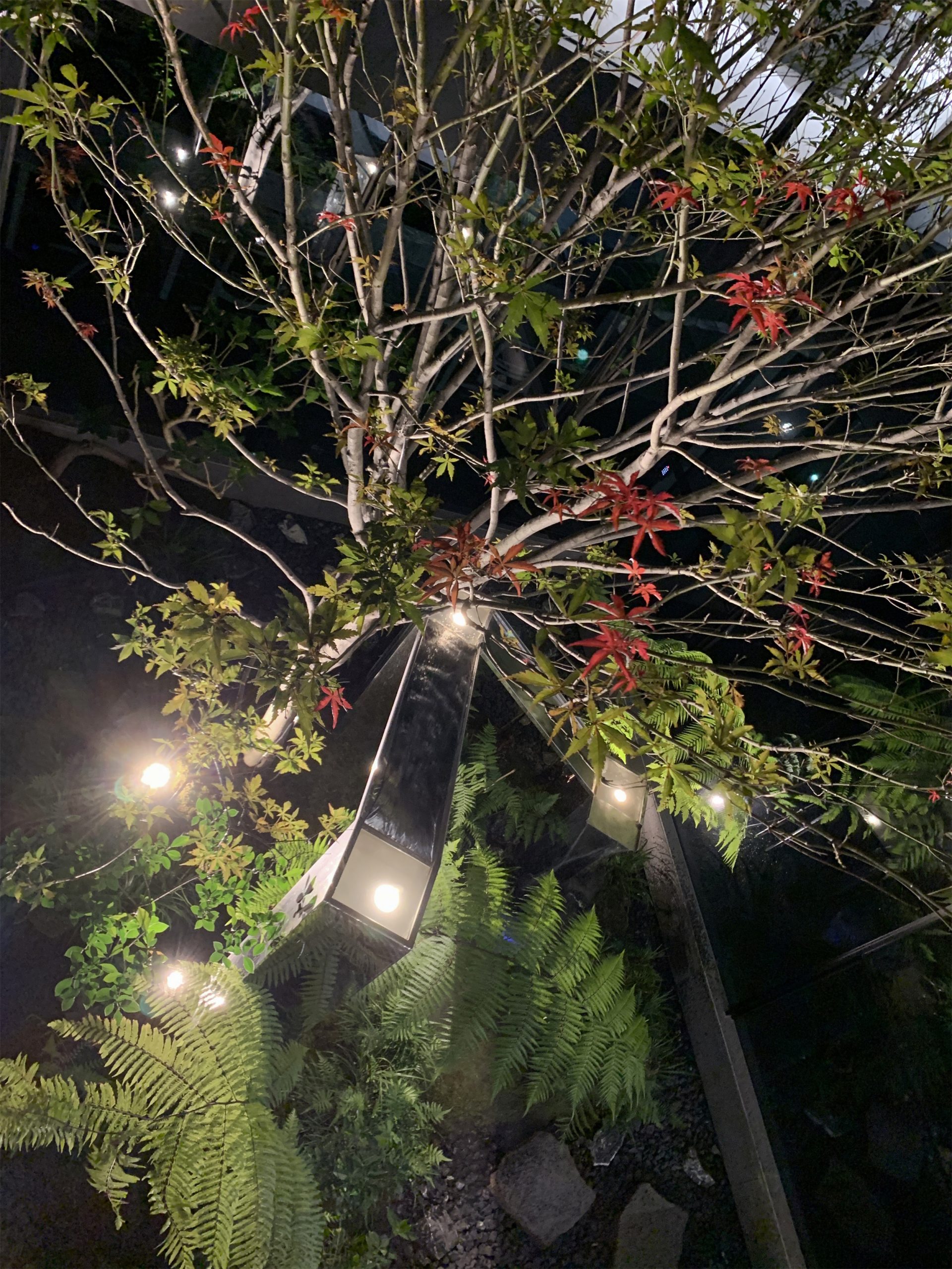 框·井 至岸景观的现代禅意空间-35