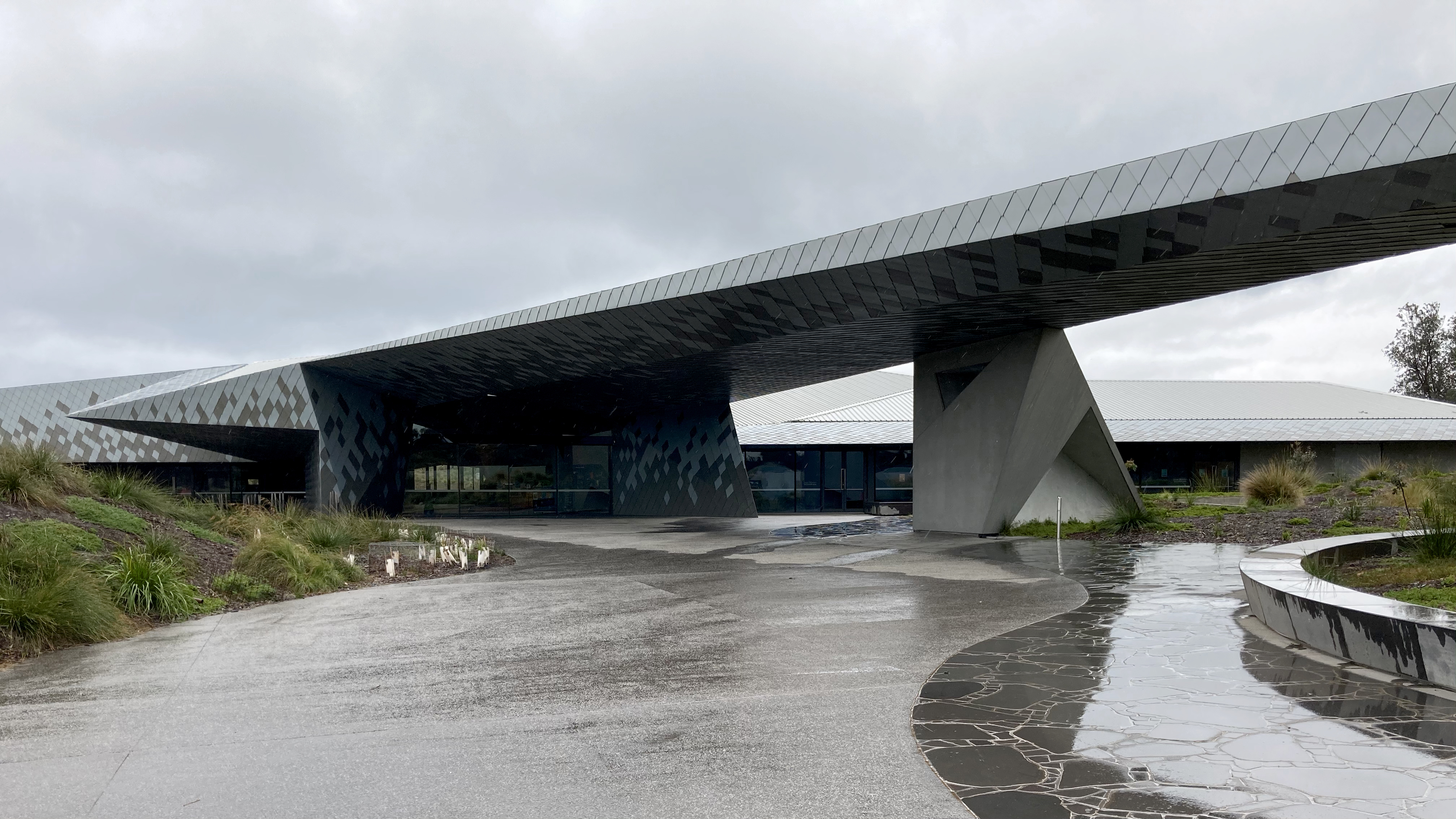 Penguin Parade - shot on iPhone-1