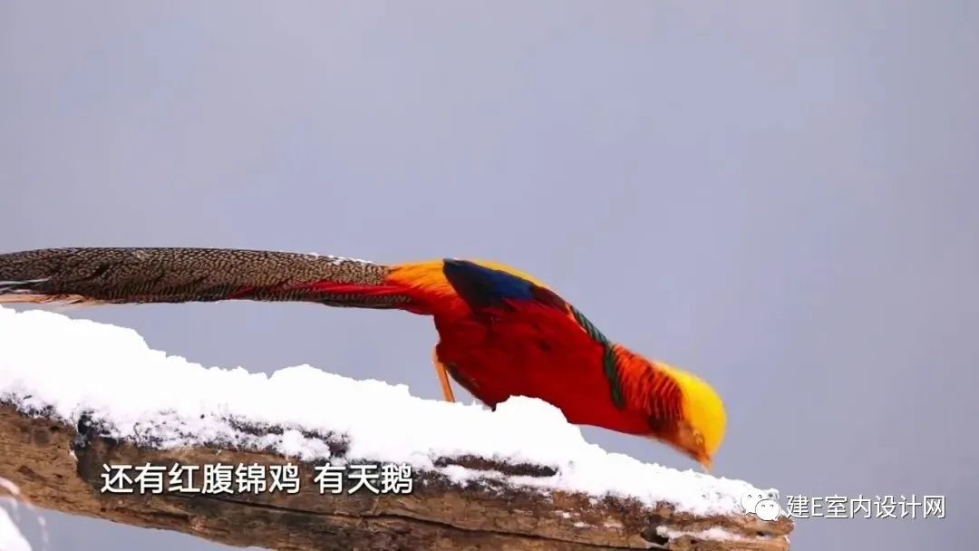 《梦改》孙华锋 | 古村窑洞重生,打造游客心中的“诗和远方”-5