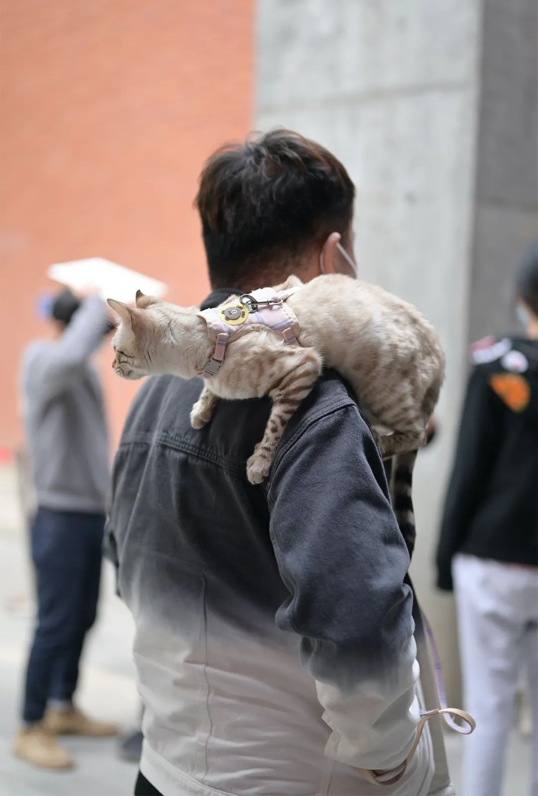 野狗商店·报刊亭-28