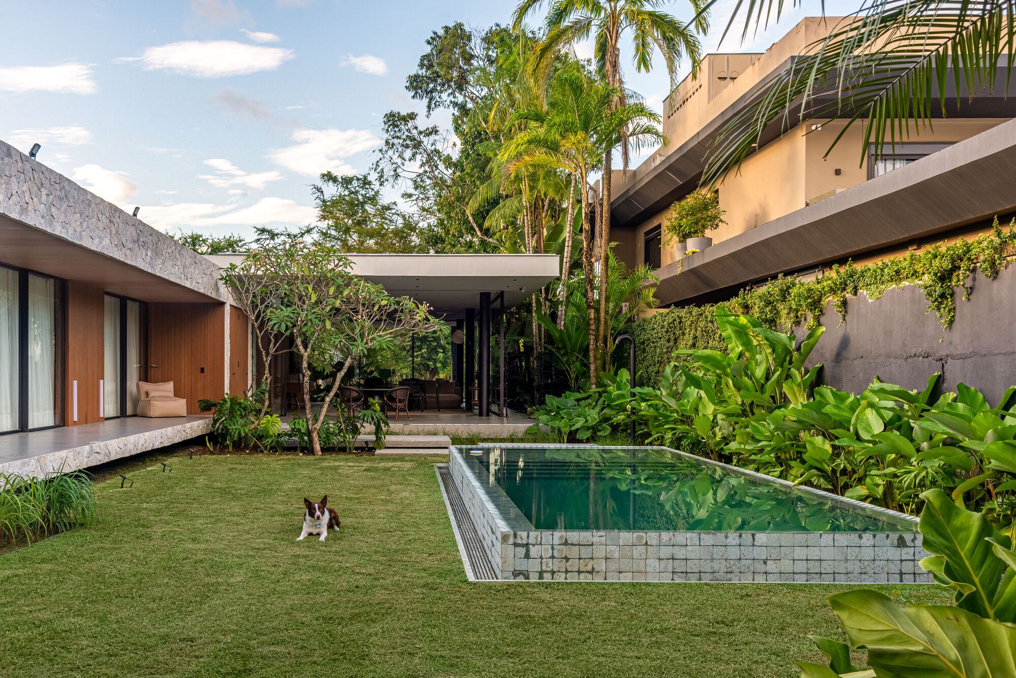 丨巴西丨studio gm-41