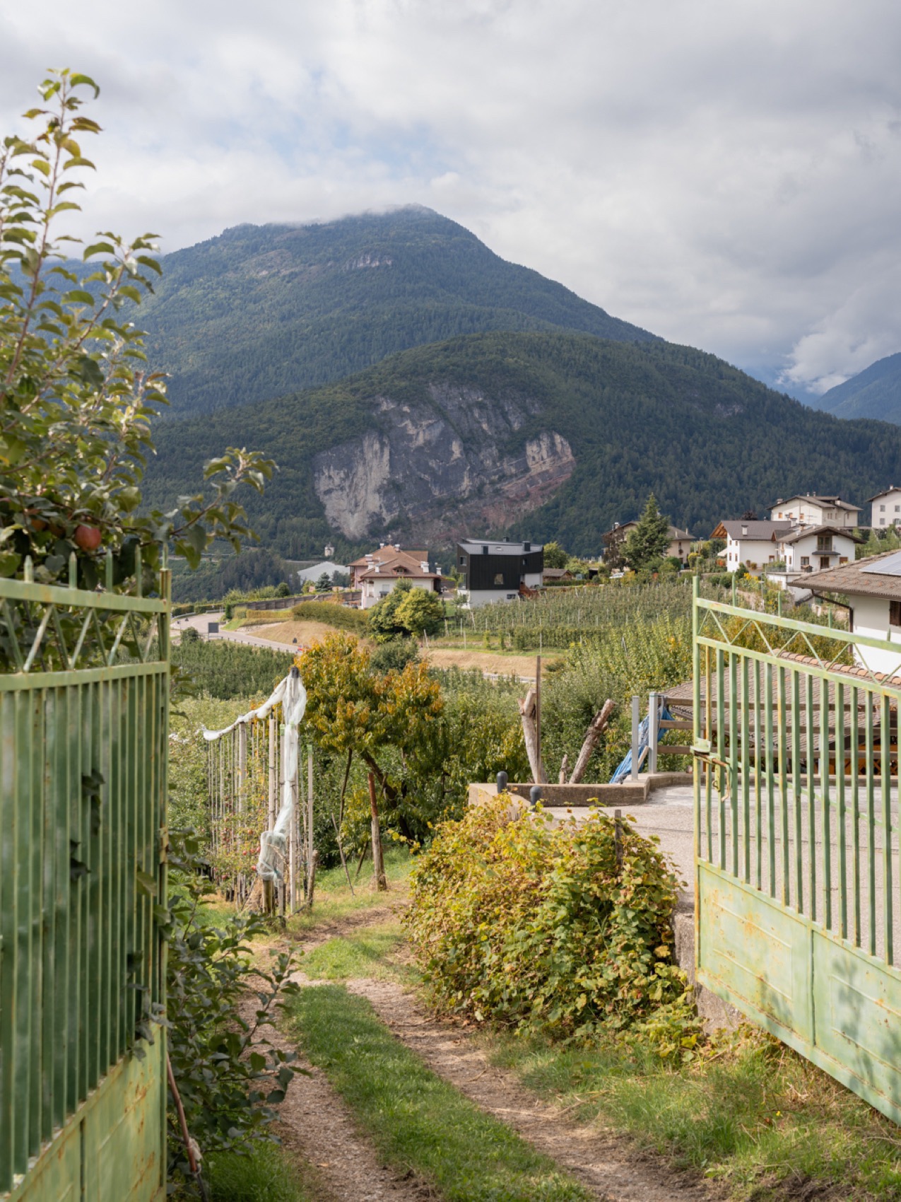 故乡之家丨意大利特伦托-195