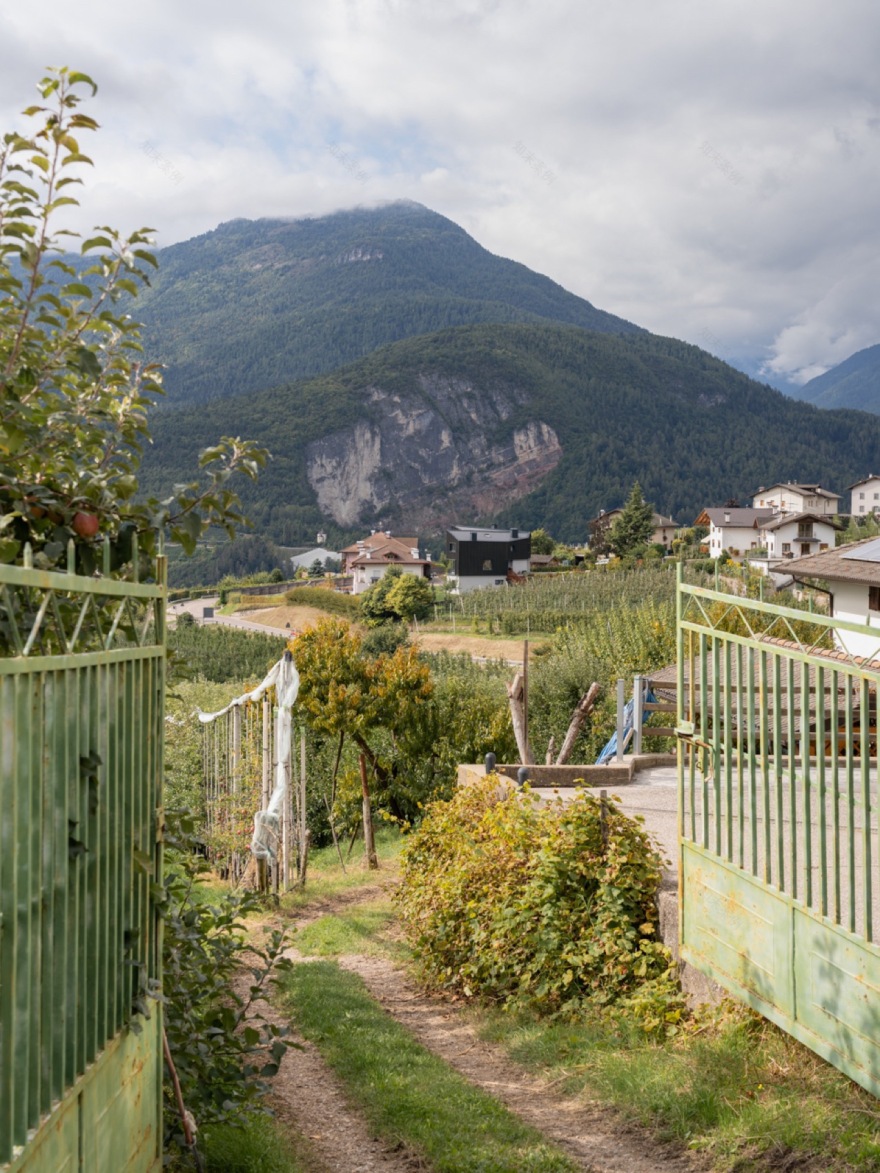 故乡之家丨意大利特伦托-195