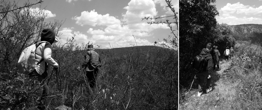 自然共生,心灵栖息的汉华天马山温泉酒店-10