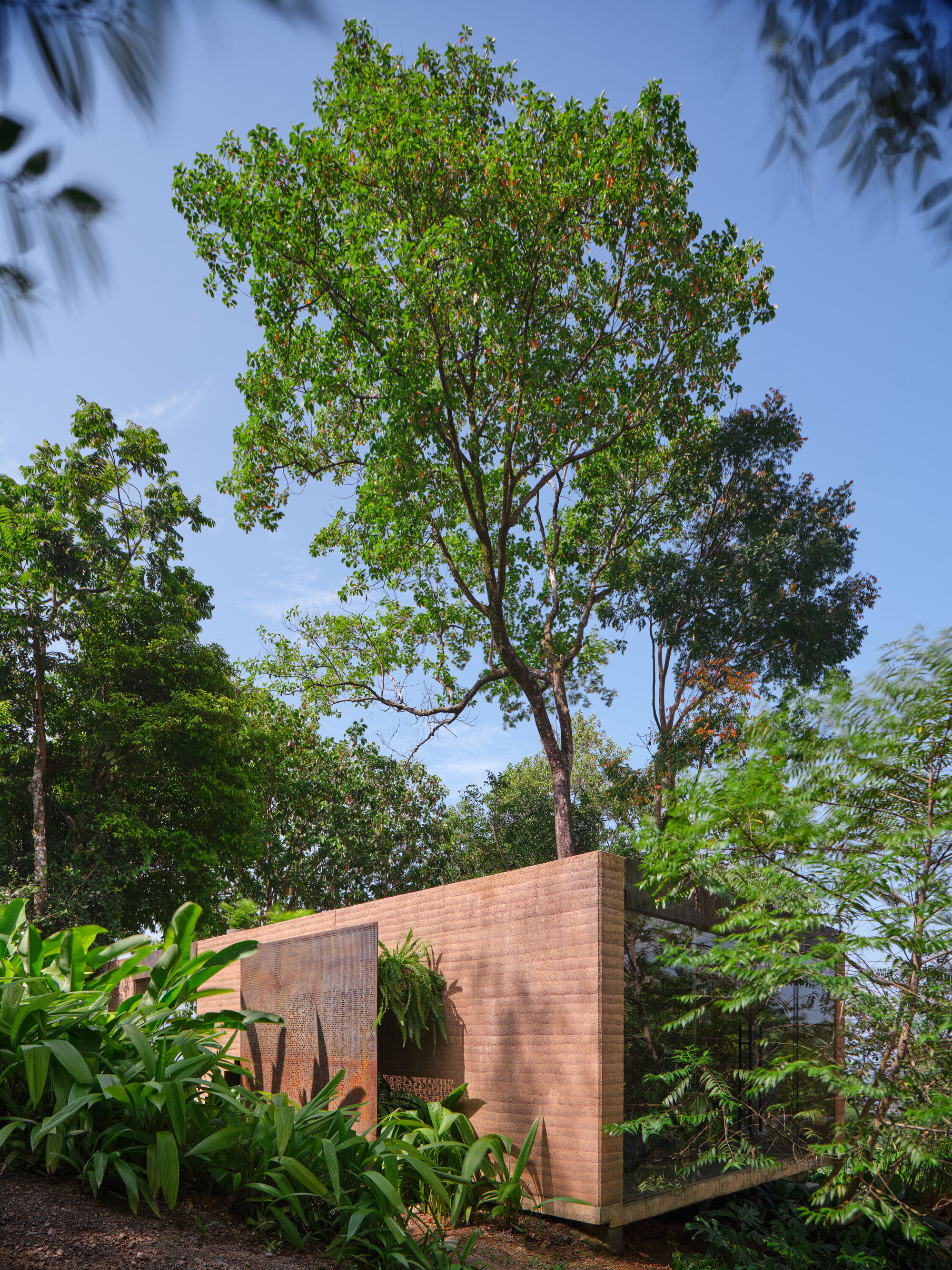 丨哥斯达黎加丨Formafatal-18