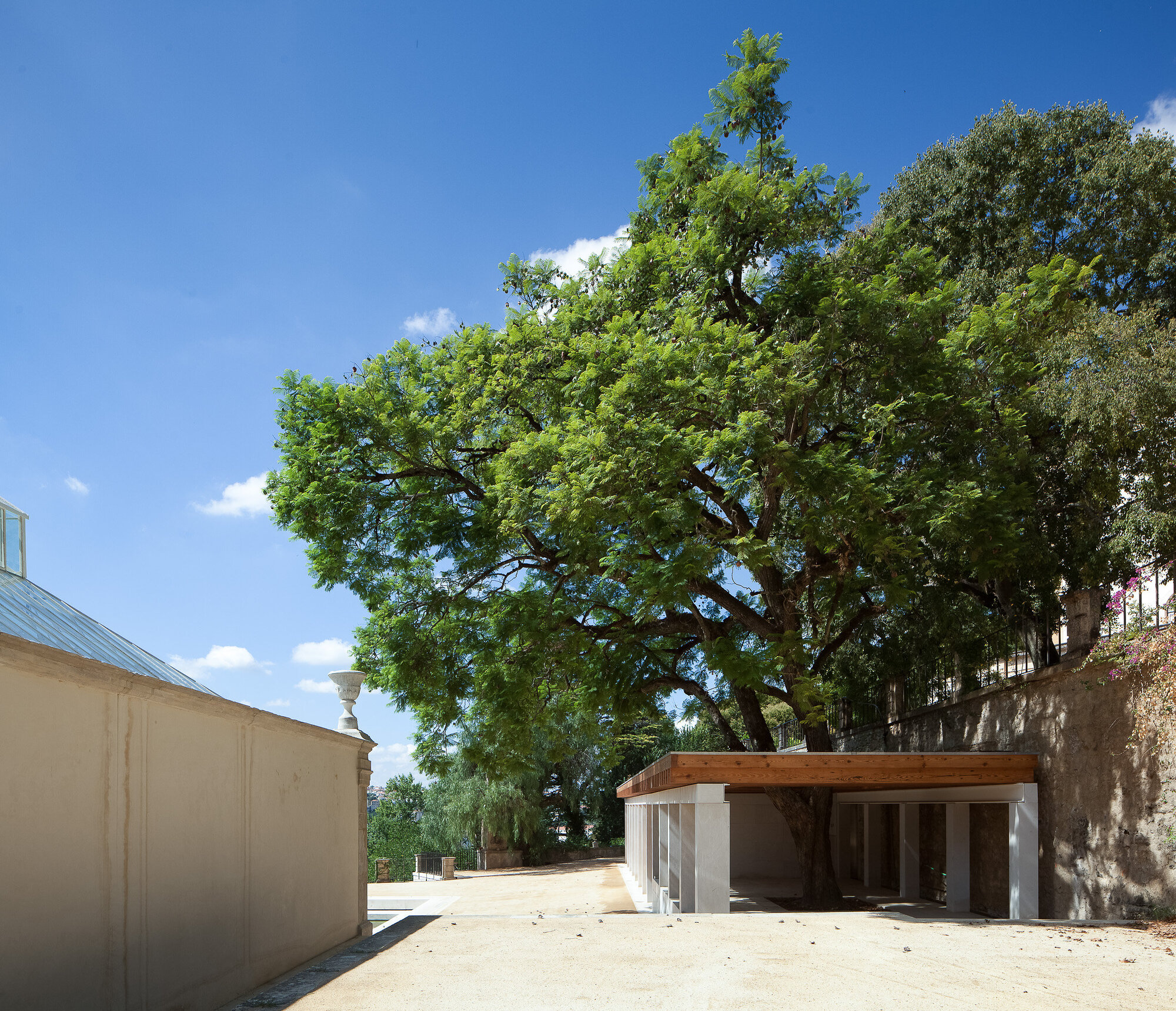 科英布拉大学植物园热带温室丨葡萄牙丨João Mendes Ribeiro-32
